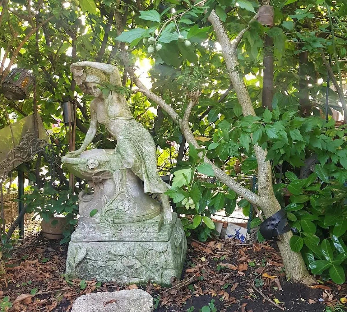 Green House, Cosy Garden Paris Alfortville