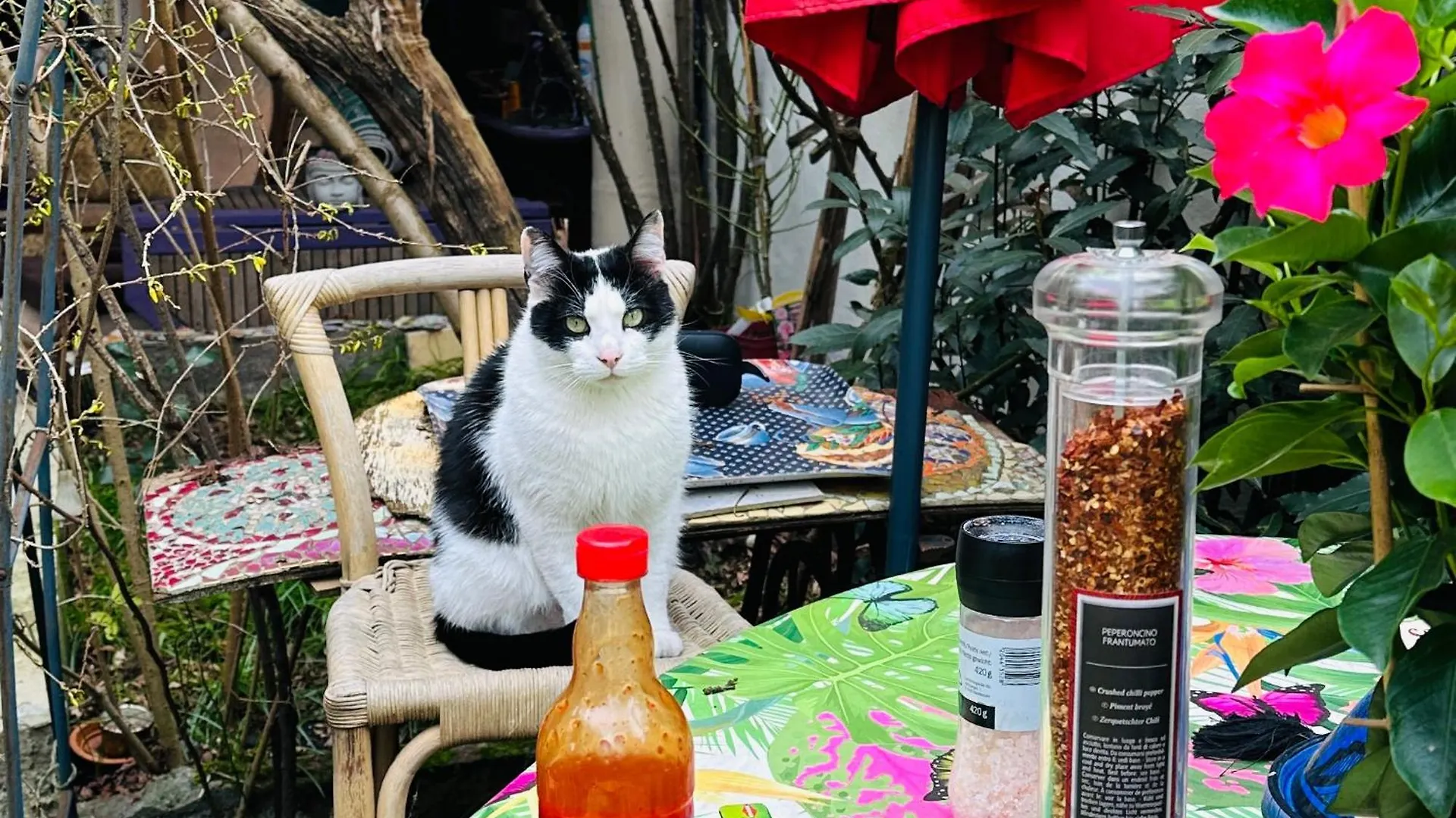 Apartment Green House, Cosy Garden Paris Alfortville